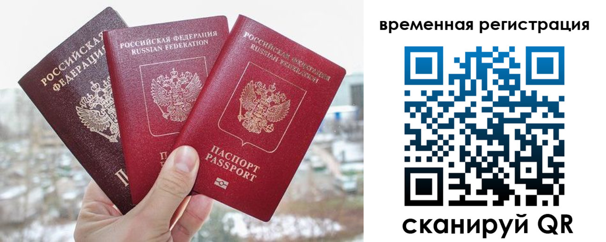 временная регистрация поиск в Волхове